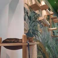  at Katzentempel - Leipzig Ost in Leipzig