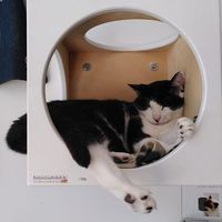  at Katzentempel - Leipzig Ost in Leipzig