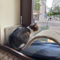 Pedro  at Katzentempel - Leipzig Ost in Leipzig