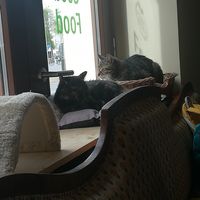  at Katzentempel - Leipzig Ost in Leipzig