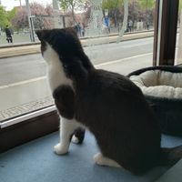  at Katzentempel - Leipzig Ost in Leipzig