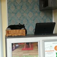  at Katzentempel - Leipzig Ost in Leipzig