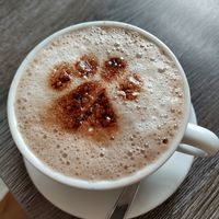 Hot cocoa at Katzentempel - Leipzig Ost in Leipzig