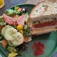  at Katzentempel - Leipzig Ost in Leipzig