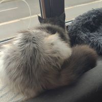  at Katzentempel - Leipzig Ost in Leipzig