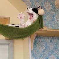  at Katzentempel - Leipzig Ost in Leipzig