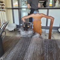  at Katzentempel - Leipzig Ost in Leipzig