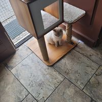  at Katzentempel - Leipzig Ost in Leipzig