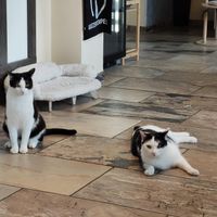   at Katzentempel - Leipzig Ost in Leipzig