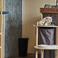   at Katzentempel - Leipzig Ost in Leipzig