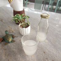 Some probiotic tea at Loving Earth Cafe in Fort Kochi