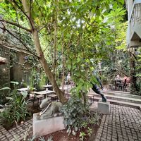 Courtyard   at Loving Earth Cafe in Fort Kochi
