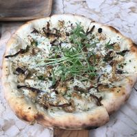 fungi fab at Loving Earth Cafe in Fort Kochi