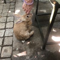   at Loving Earth Cafe in Fort Kochi