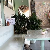 Cute puppy at Loving Earth Cafe in Fort Kochi