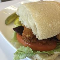   at Strong Hearts in Syracuse