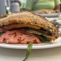 cajun sientan sandwich  at Strong Hearts in Syracuse