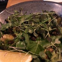 Greens at Yeah Boy in Geelong