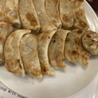 Gyoza   at Chojo Hanten in Yokohama