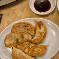 Gyoza at Chojo Hanten in Yokohama