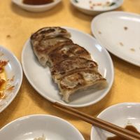 Vegan Gyoza at Chojo Hanten in Yokohama