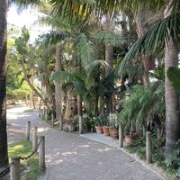 Entry  at Padaro Beach Grill in Carpinteria