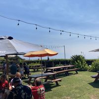 Seating - ocean behind hedge  at Padaro Beach Grill in Carpinteria