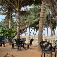 Chilling with the pups at The Container Beach Restaurant in Negombo