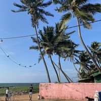 Great Vie at The Container Beach Restaurant in Negombo