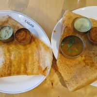 Mysore masala dosas at Sagar Vegan & Vegetarian Restaurant - West End in London