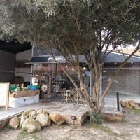 Front at Bosque Bio in Almada