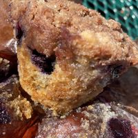 Blueberry muffin  at Karma Café in Asheville