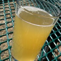 Kombucha  at Karma Café in Asheville