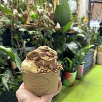   at The Organic Press in Toronto