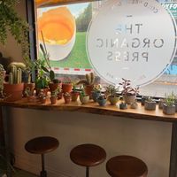 Plants inside cafe and seating  at The Organic Press in Toronto
