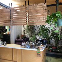 Cafe counter at The Organic Press in Toronto