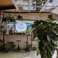 Interior - entrance and seating at The Organic Press in Toronto