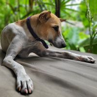  at Madiha Surf Lodge in Matara