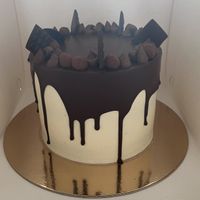   at Huis Timmermans in Tongeren