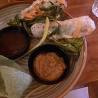 Spring rolls at Nieuw Rotterdams Café in Rotterdam