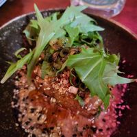  at Harpoon Social Club in Bendigo