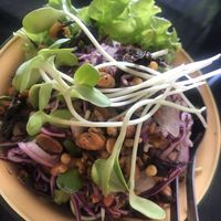   at Asa Vegan Kitchen and Studio in Chiang Mai