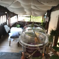 Asah!  at Asa Vegan Kitchen and Studio in Chiang Mai