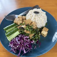 Pad Kra Pao tofu  at Asa Vegan Kitchen and Studio in Chiang Mai