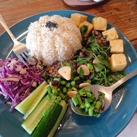Tofu with rice at Asa Vegan Kitchen and Studio in Chiang Mai