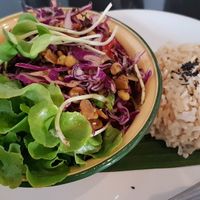 Tea leaf salad. Large portion and delicious. at Asa Vegan Kitchen and Studio in Chiang Mai