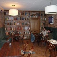 Atmospheric interior at Troitsky Most - Nab Reki Moyki in St Petersburg