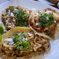  at Gold Taco - Roma Norte in Mexico City