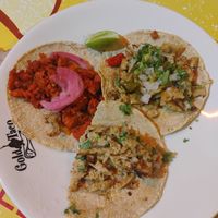  at Gold Taco - Roma Norte in Mexico City