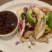   at Wicked Cantina in Sarasota